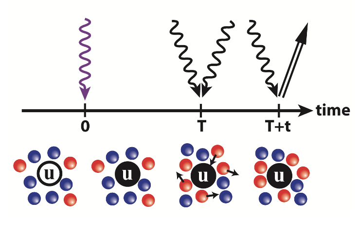 Illustration of two-dimensional solvation spectroscopy