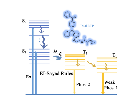 Illustration of organic polymer luminescent materials