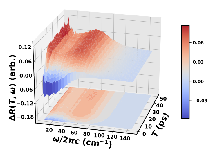 Illustration of two-dimensional solute-pump solvent-probe spectroscopy