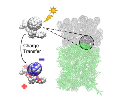 Illustration of interfacial charge transfer in organic photovoltaics