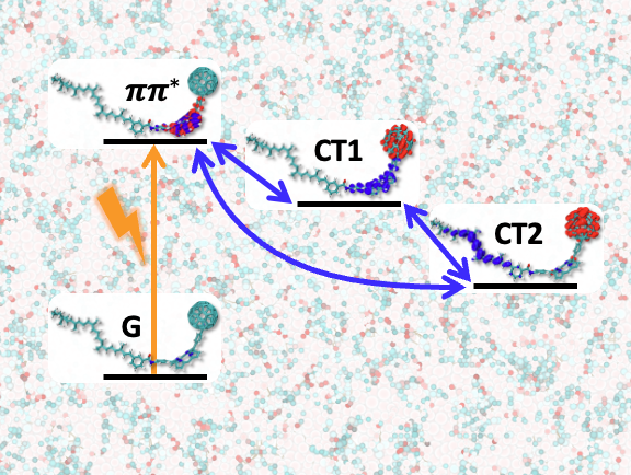 Illustration of organic photovoltaic charge-transfer dynamics