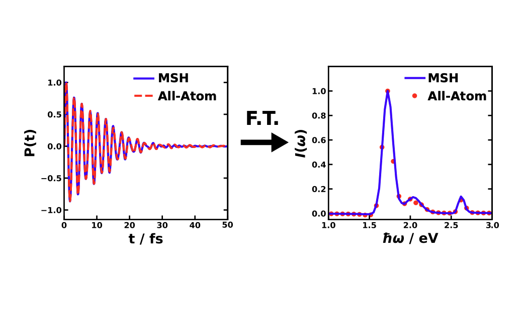 Illustration of condensed-phase spectroscopy