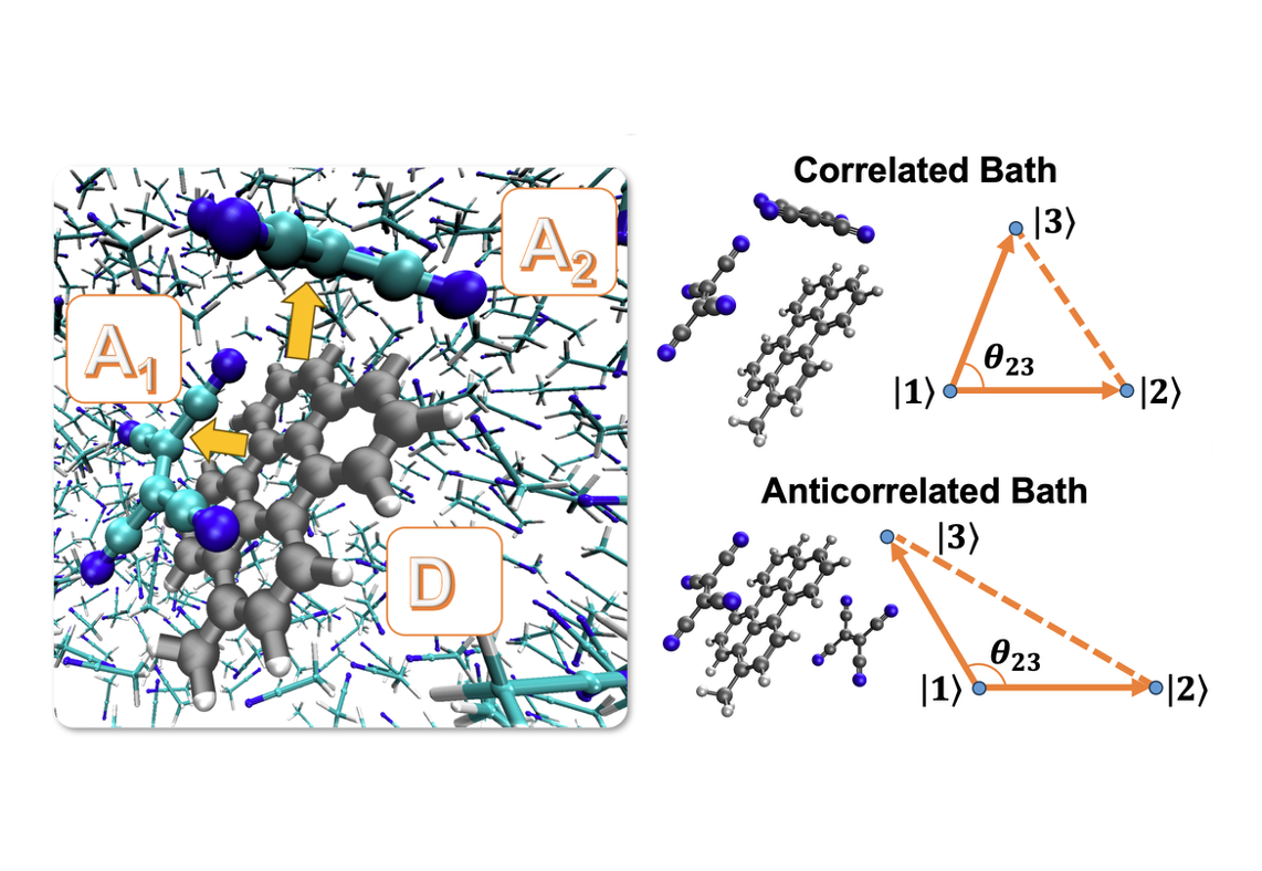 Illustration of correlated bath effects