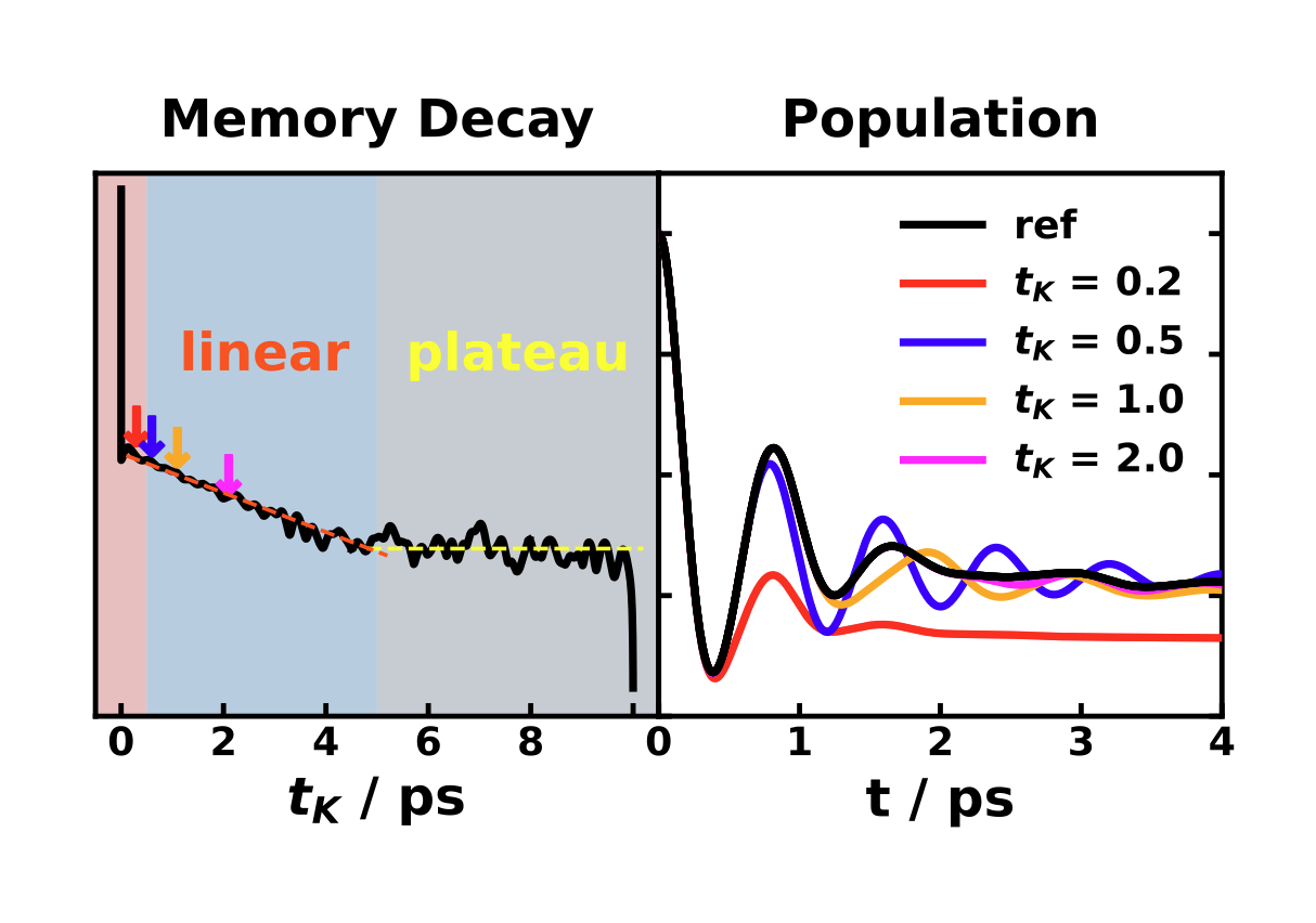Illustration of quantum dynamical models and memory effects