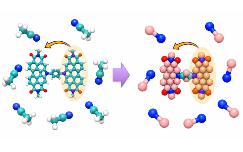Illustration of coarse-grained nonadiabatic dynamics