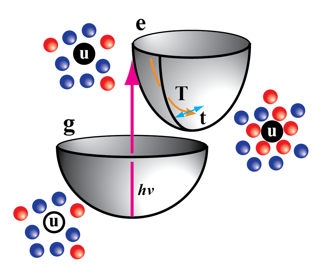 Schematic of solute-pump solvent-probe spectroscopy
